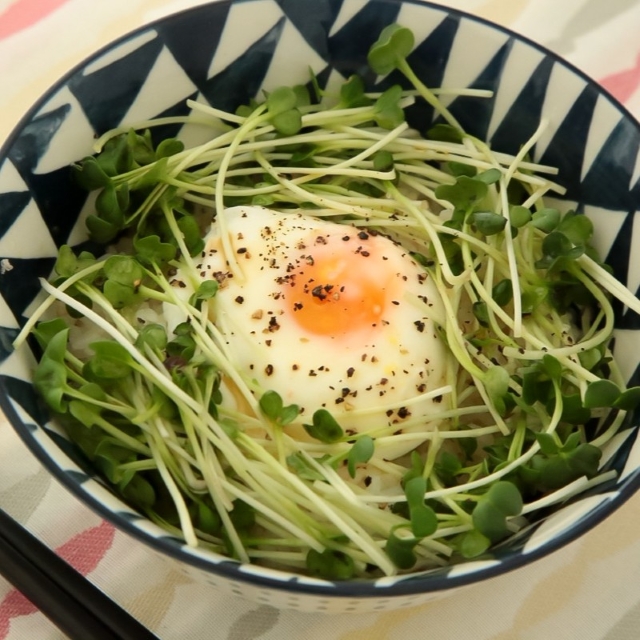 簡単レシピ愛好家さんのかいわれと温玉ご飯